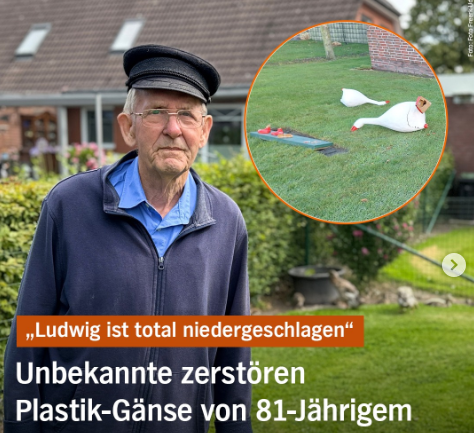 Nachbarschaftsstreit um Gänse
