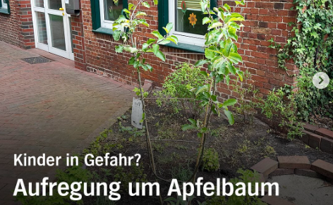 Aufregung um Apfelbaum